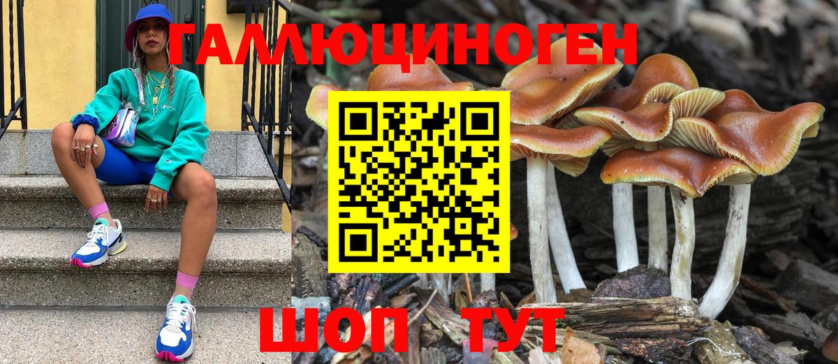 где купить наркоту  Псилоцибиновые грибы Magic Shrooms  Всеволожск  Вход с VPN  Галлюциногенные грибы мухоморы 