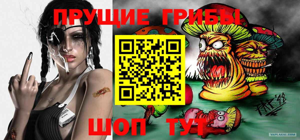 Галлюциногенные грибы прущие грибы Всеволожск